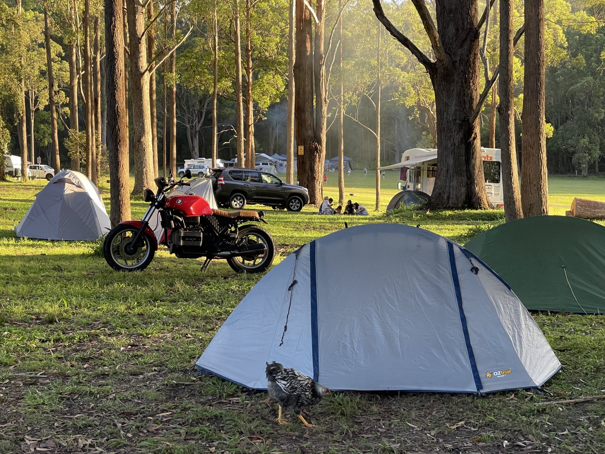 Coffs Harbour – 2022 – Motorcycle Camping